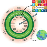 donut foto website donut foto website